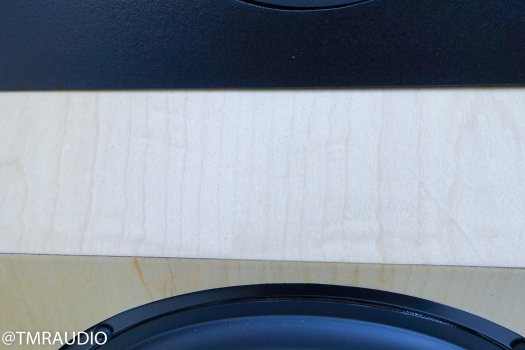 Tyler Acoustics D12X Studio Mastering Monitors / Speakers