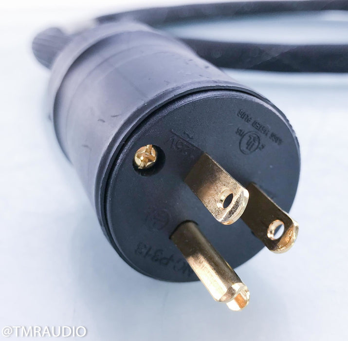Acoustic Zen Tsunami Plus II Power Cable