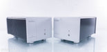 Boulder 850 Balanced Mono Power Amplifier