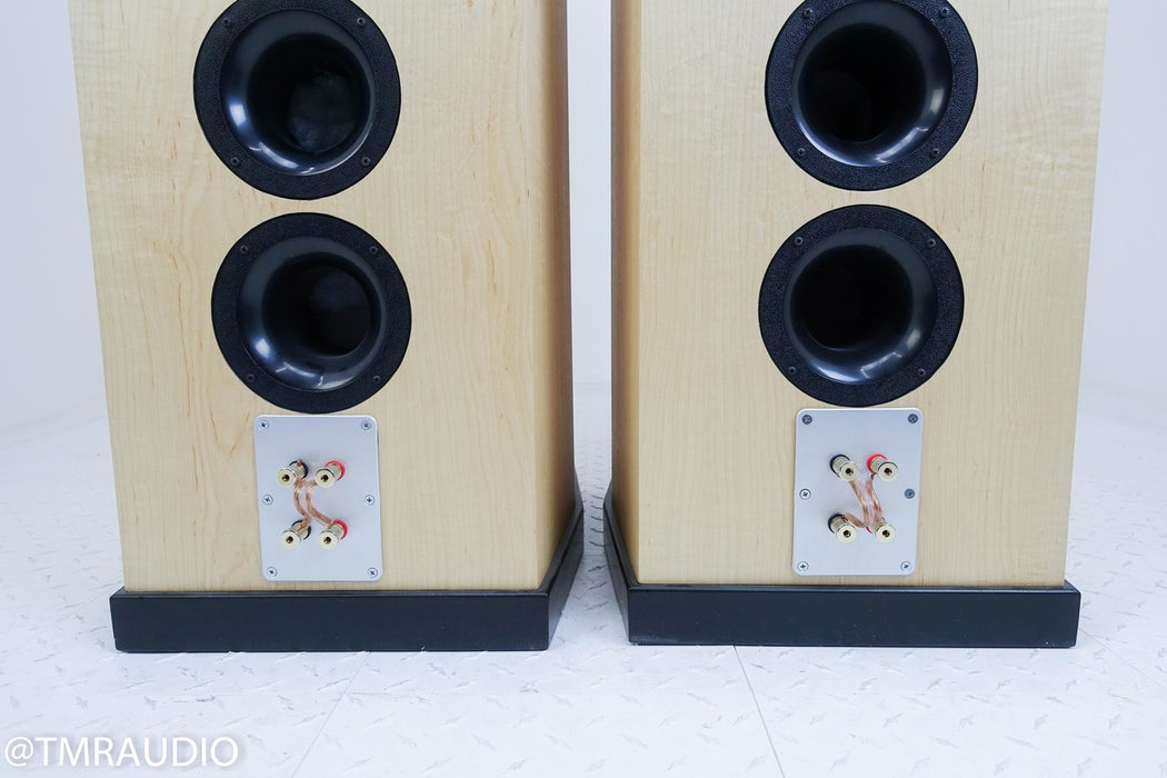 Tyler Acoustics D12X Studio Mastering Monitors / Speakers