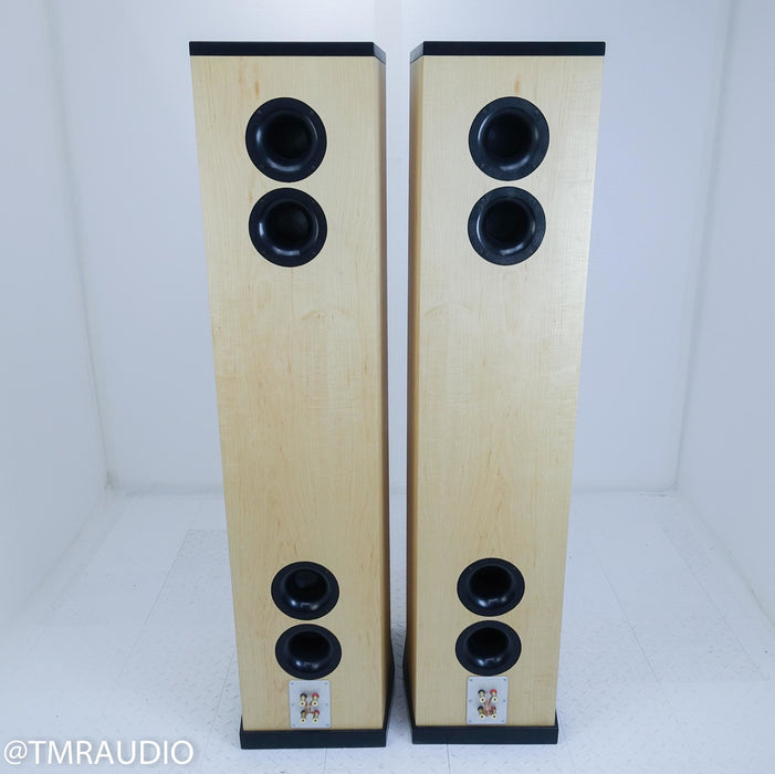 Tyler Acoustics D12X Studio Mastering Monitors / Speakers
