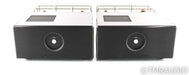 Rogue Audio M-180 Mono Tube Power Amplifier