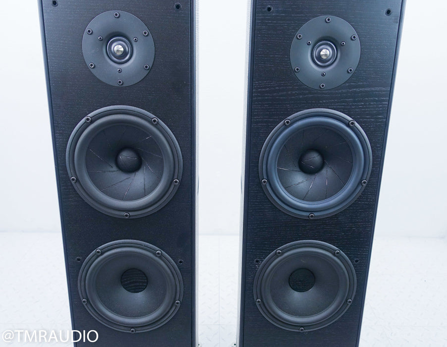 GamuT RS5i Floorstanding Speakers