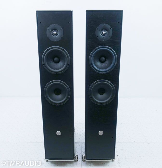 GamuT RS5i Floorstanding Speakers