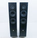 GamuT RS5i Floorstanding Speakers