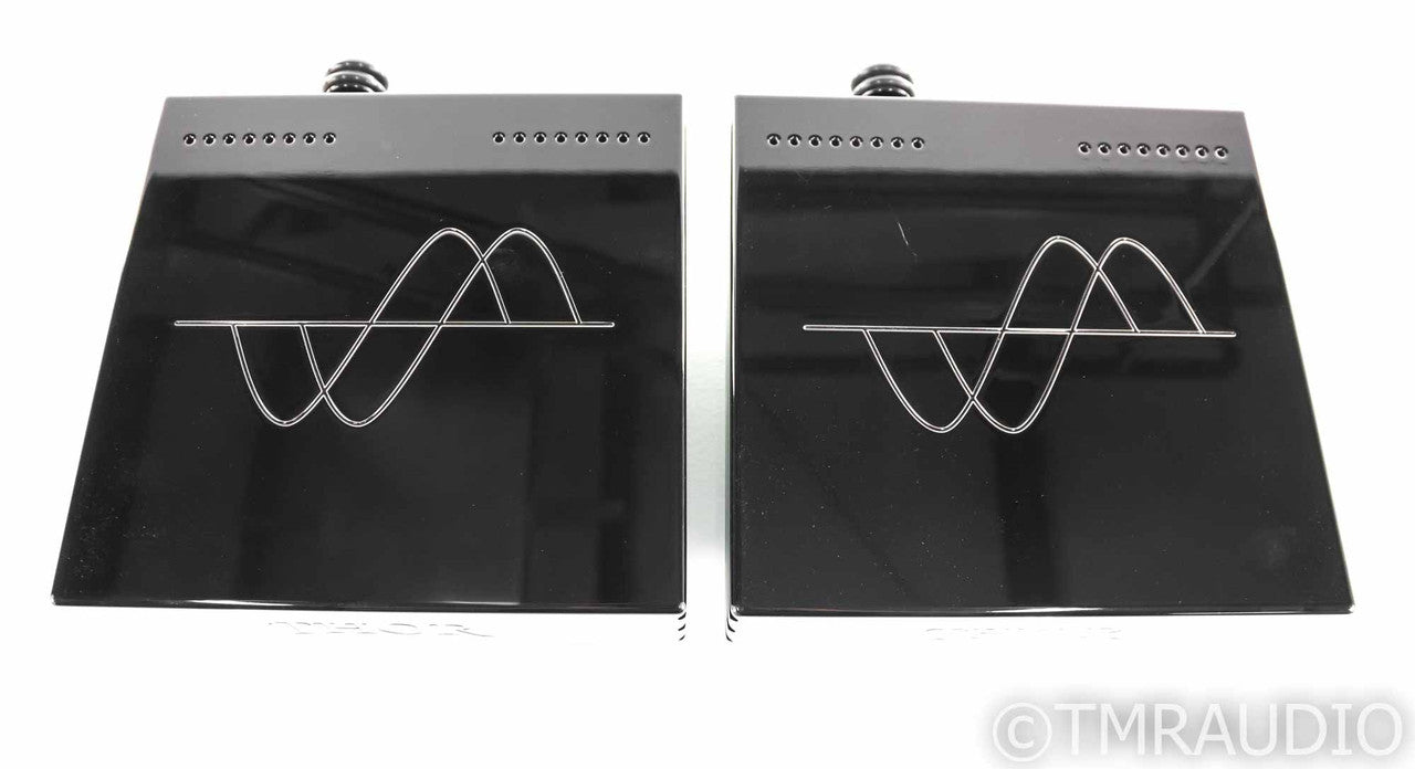 Merril Audio Thor Monoblock Power Amplifier