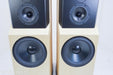 Tyler Acoustics D12X Studio Mastering Monitors / Speakers