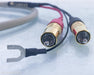 Cardas Neutral Reference 5-Pin DIN - RCA Phono Cables