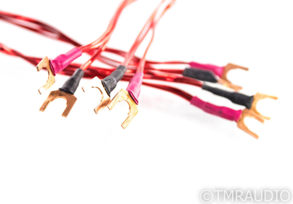 AntiCables 3.1 Speaker Cables; 6ft Pair