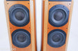 B&W 802D Floorstanding Speakers