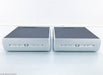 Audio Alchemy DPA-1M Monoblock Amplifier