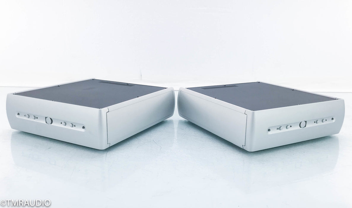 Audio Alchemy DPA-1M Monoblock Amplifier