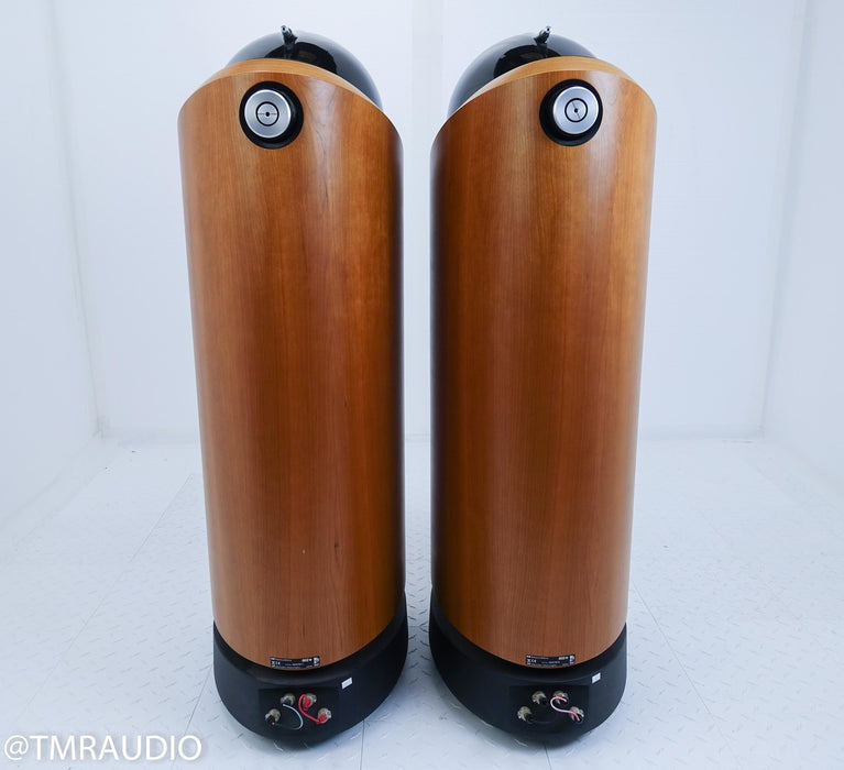 B&W 802D Floorstanding Speakers
