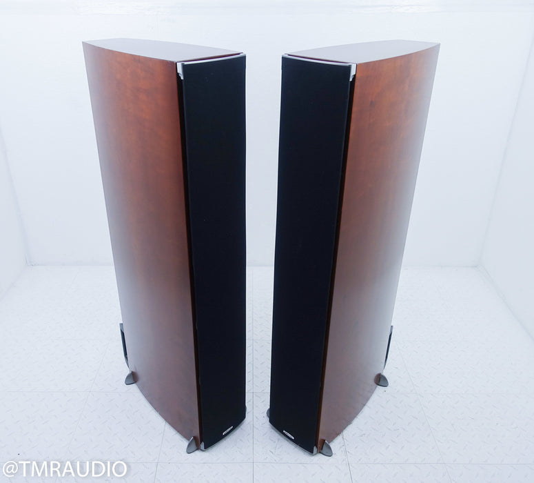 Polk Audio RTi A9 Floorstanding Speakers