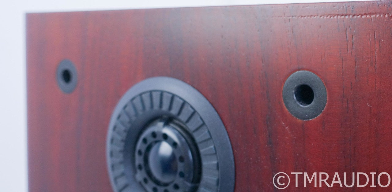 B&W P5 Floorstanding Speakers