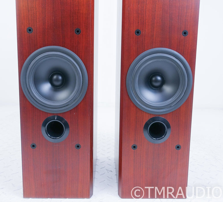 B&W P5 Floorstanding Speakers