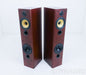 B&W P5 Floorstanding Speakers