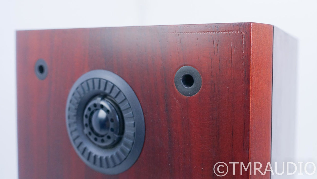 B&W P5 Floorstanding Speakers