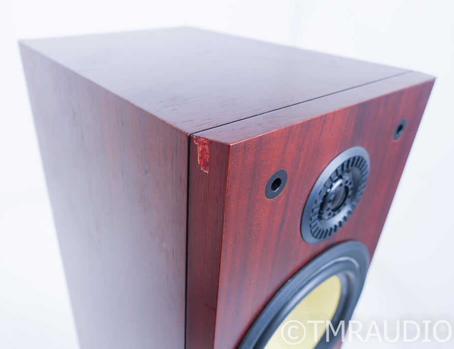 B&W P5 Floorstanding Speakers