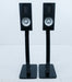Raidho X-1 Bookshelf Speakers w/ Stands