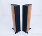 Sonus Faber Grand Piano Domus Floorstanding Speakers