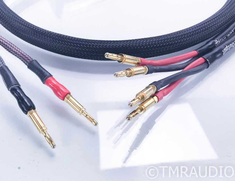 MIT Shotgun S3 Bi-Wire Speaker Cables