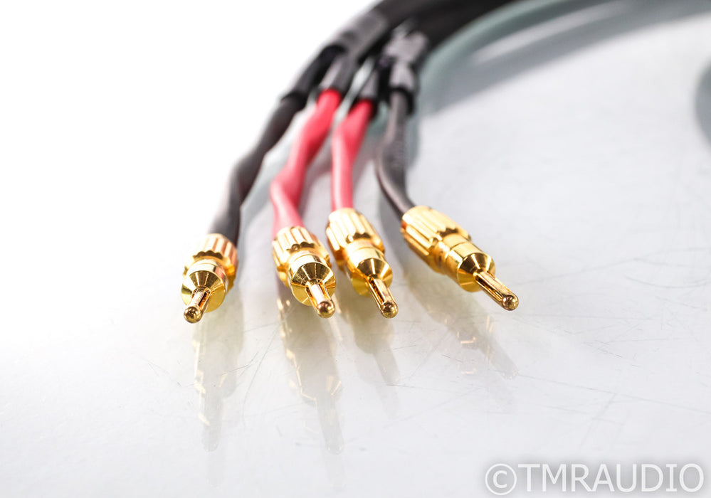Acoustic Research Pro II Bi-Wire Speaker Cables; 3m Pair