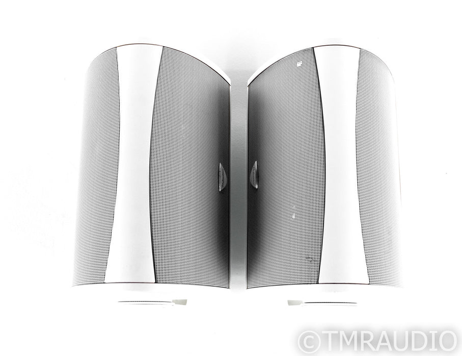 Definitive Technology AW 5500 Outdoor Speakers