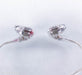 Shure SE846 Sound Isolating In-Ear Monitors / Earbuds