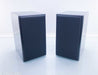 Sjfn HiFi (The Clue) Bookshelf Speakers