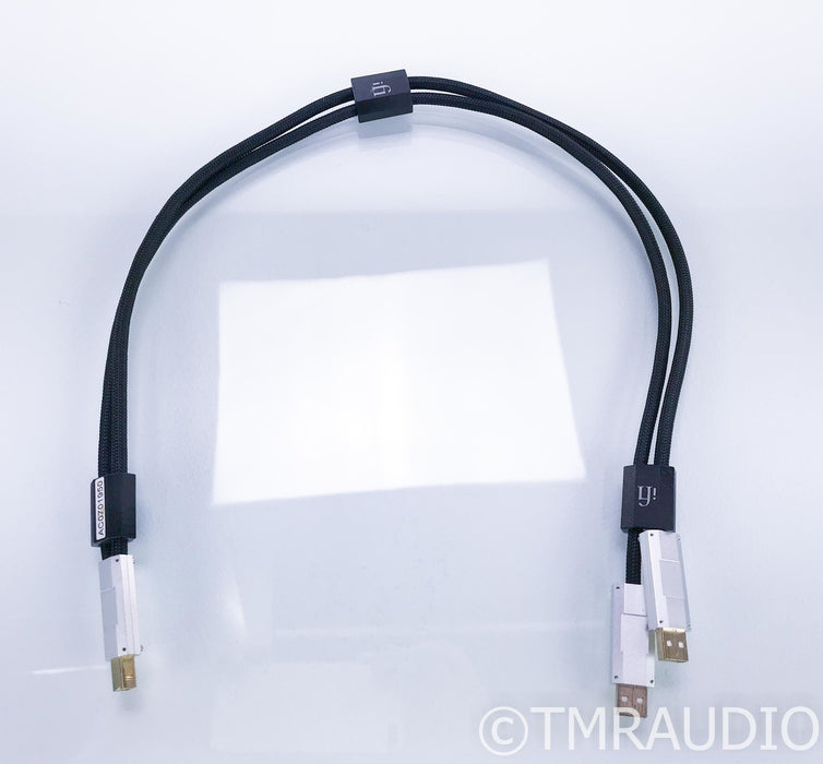 iFi Gemini Dual-Head USB Cable; .7m Digital Interconnect
