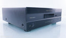 Paasound Model 2250 v.2 Stereo Power Amplifier