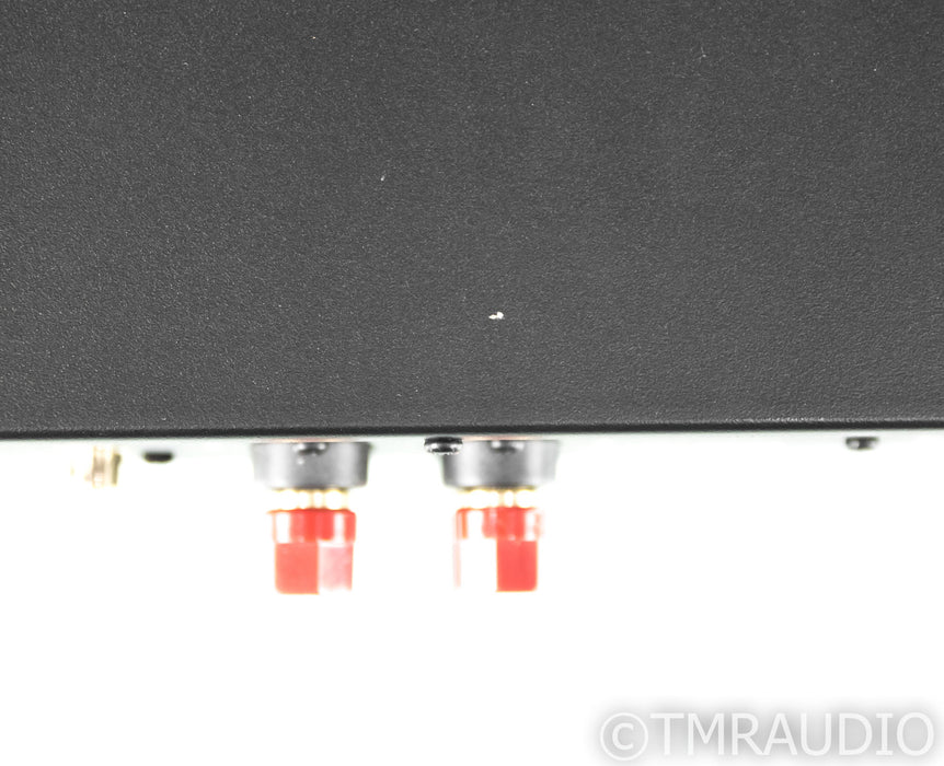 Revel SA1000 Stereo Subwoofer Amplifier; SA-1000