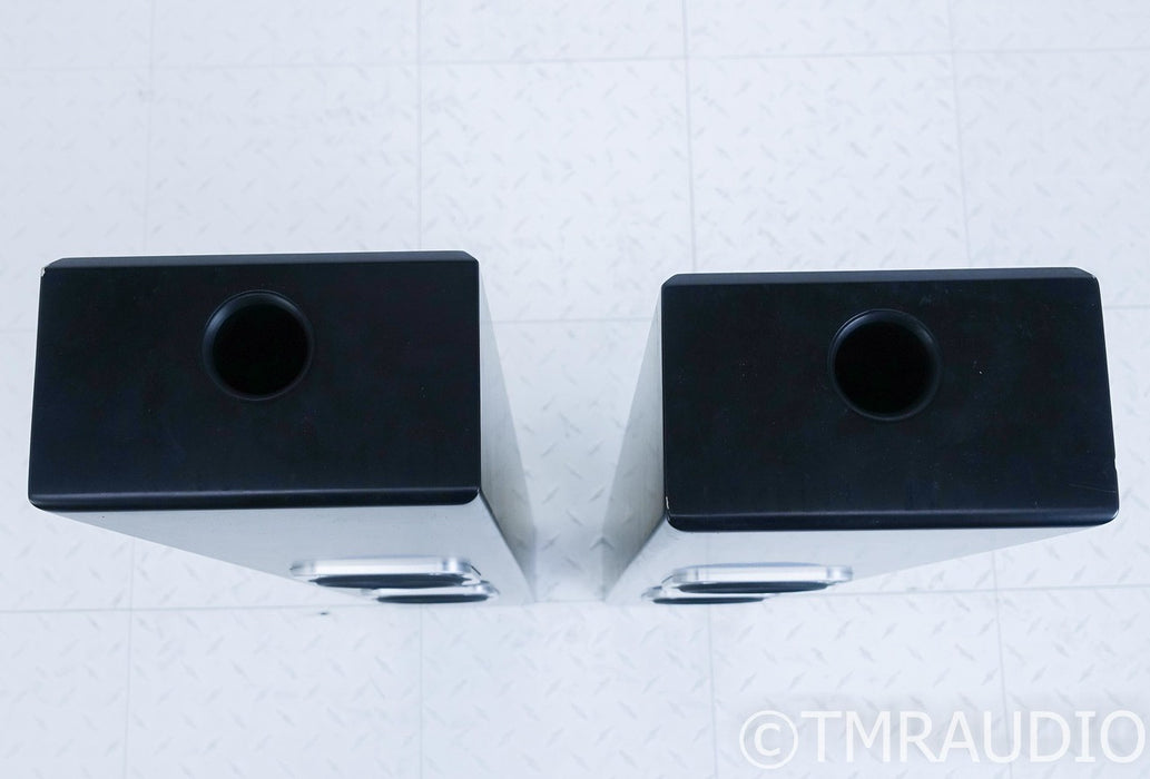 Totem Tribe III On-Wall Speakers