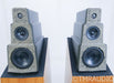 Vandersteen Model 5 Floorstanding Speakers w/ Active Bass