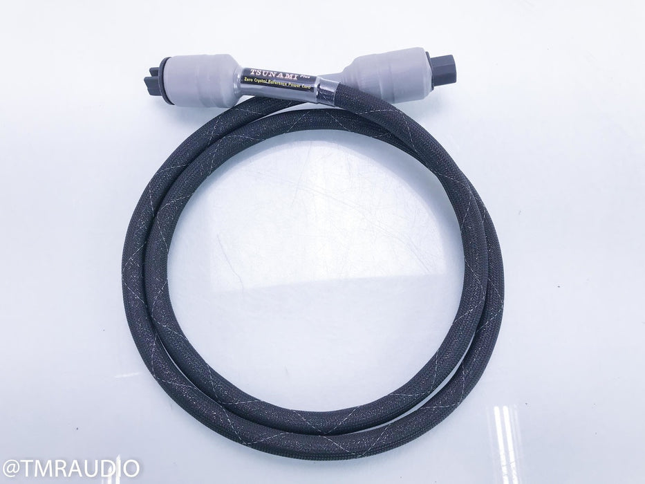 Acoustic Zen Tsunami Plus II Power Cable