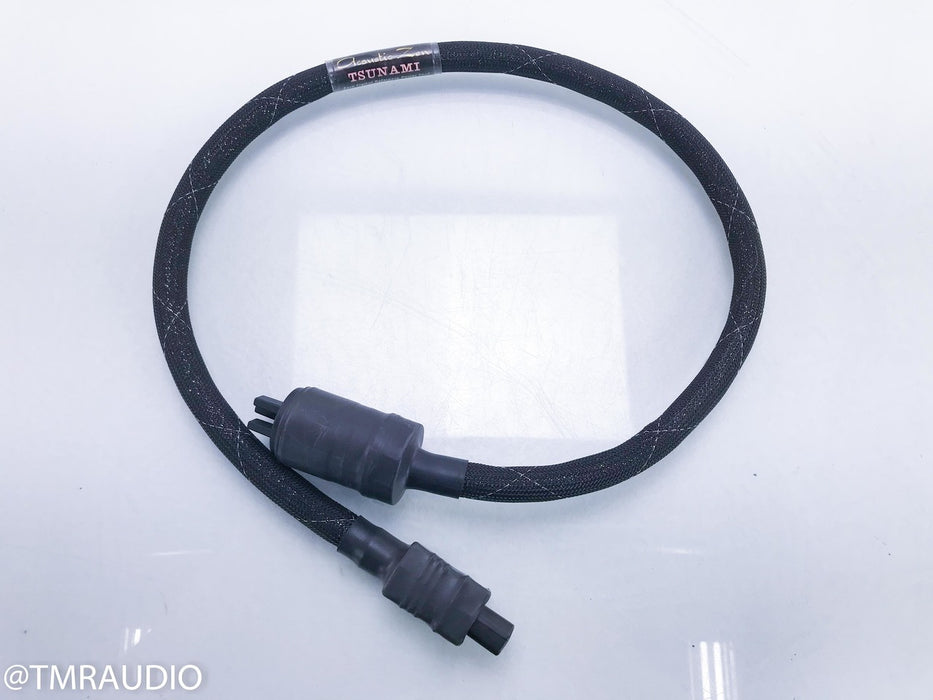 Acoustic Zen Tsunami Plus II Power Cable