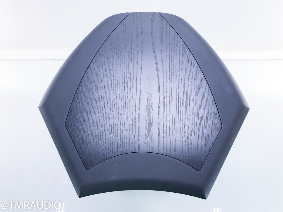 Martin Logan Descent 10" Powered Subwoofer