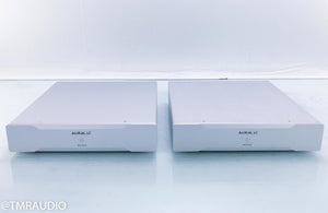 Auralic Merak Mono Power Amplifier