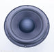 Velodyne Digital Drive Plus 12 12" Servo Subwoofer Driver