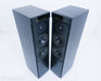 Meridian DSP5000 Speakers
