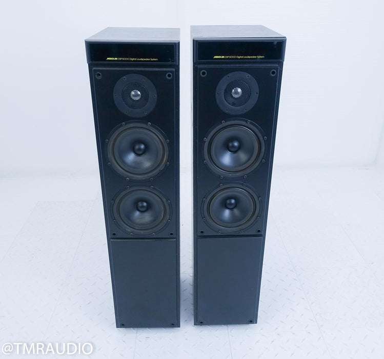 Meridian DSP5000 Speakers
