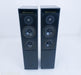 Meridian DSP5000 Speakers