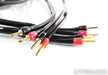 Transparent Audio The Wave Speaker Cables; 20ft Pair; Gen 5