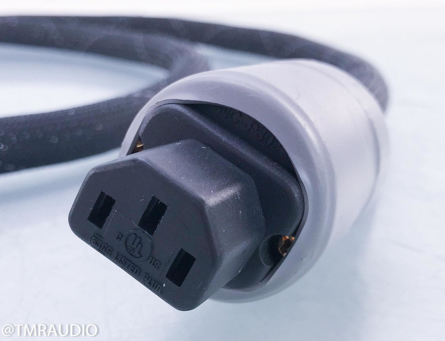Acoustic Zen Tsunami Plus II Power Cable