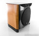 Focal Electra SW1000Be 13" Powered Subwoofer; SW-1000 Be