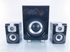 BlueSound Duo D30 2.1 Channel Speaker System