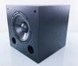 Solus SC-Richter-10 10" Powered Subwoofer