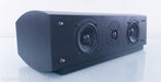 Pinnacle Digital CTR 1000 Center Channel Speaker