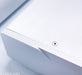 Auralic Merak Mono Power Amplifier